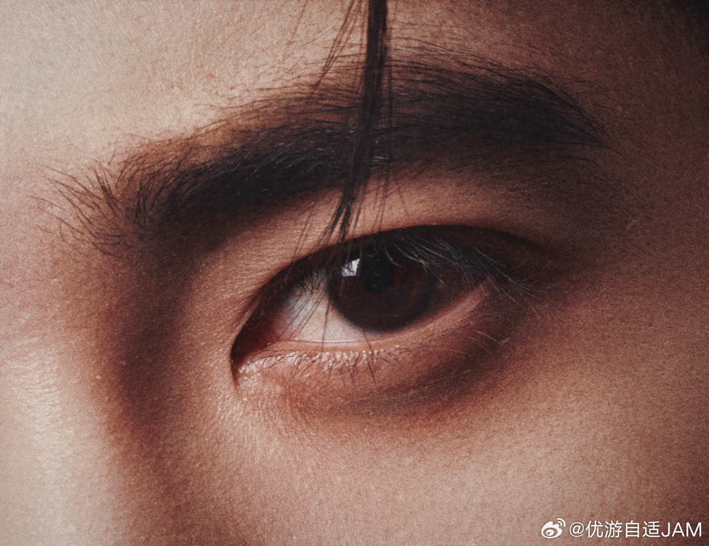 于适yosh百年张裕经典焕新品牌代言人于适张裕于适举杯随心节奏随我于适真的值得被