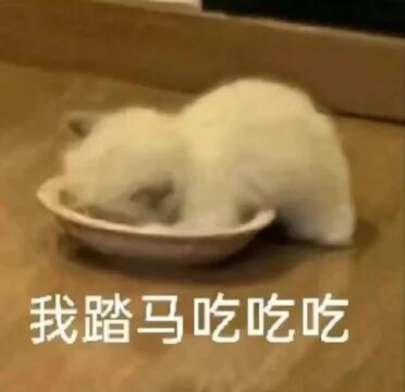 猫me表情包|我踏马吃吃吃 ​​​