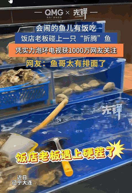 这鱼是成精了吧？5月16日，辽宁大连一饭店老板遇上“鱼界刺客”：店里就一条鱼，半