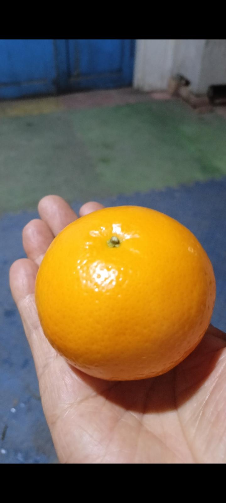 你认为人生最大的痛苦是什么?我认为最大痛苦是兜里没钱，家里没地位，身边没朋友。老