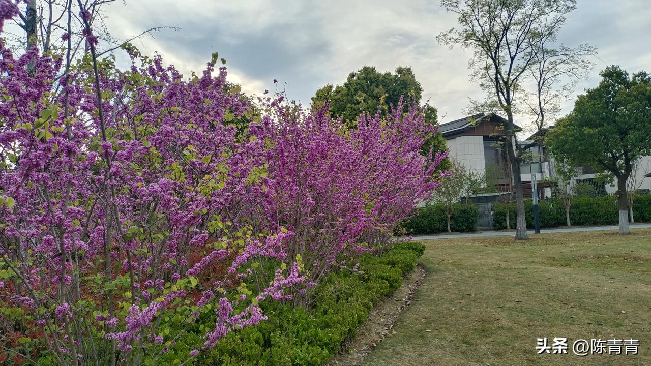 “妈，你搬敬老院去住吧？我老公说你太爱管闲事，这个家有你在，总觉得不自在。”她几