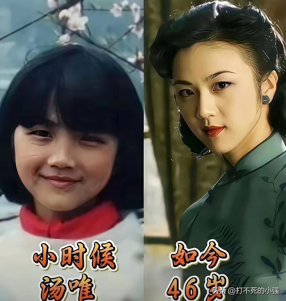 陈数小时候看起来就是个小机，灵鬼儿啊，这清亮的小眼神给人一种特别有情商，特别有智