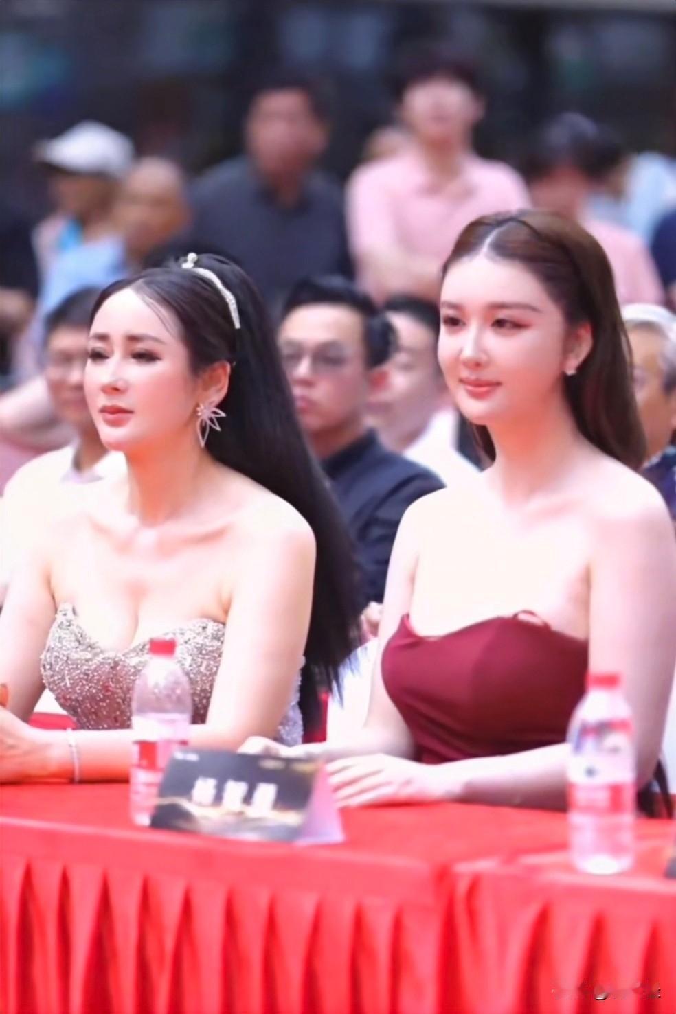 郑丽文的政治目标聚焦于两岸和平。她提出“郑丽文路线”，核心是“避战谋和”，主张“