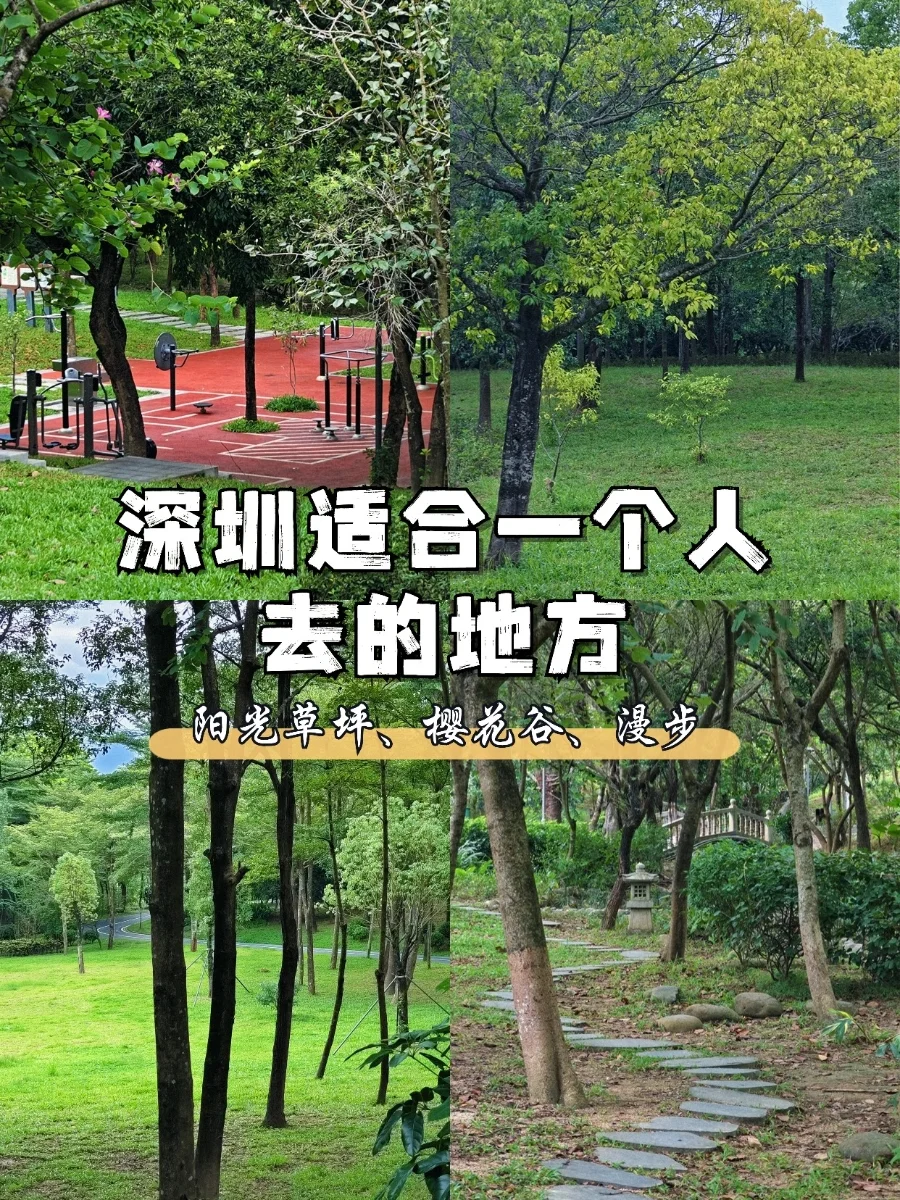 深圳适合一个人去的地方（44/100）