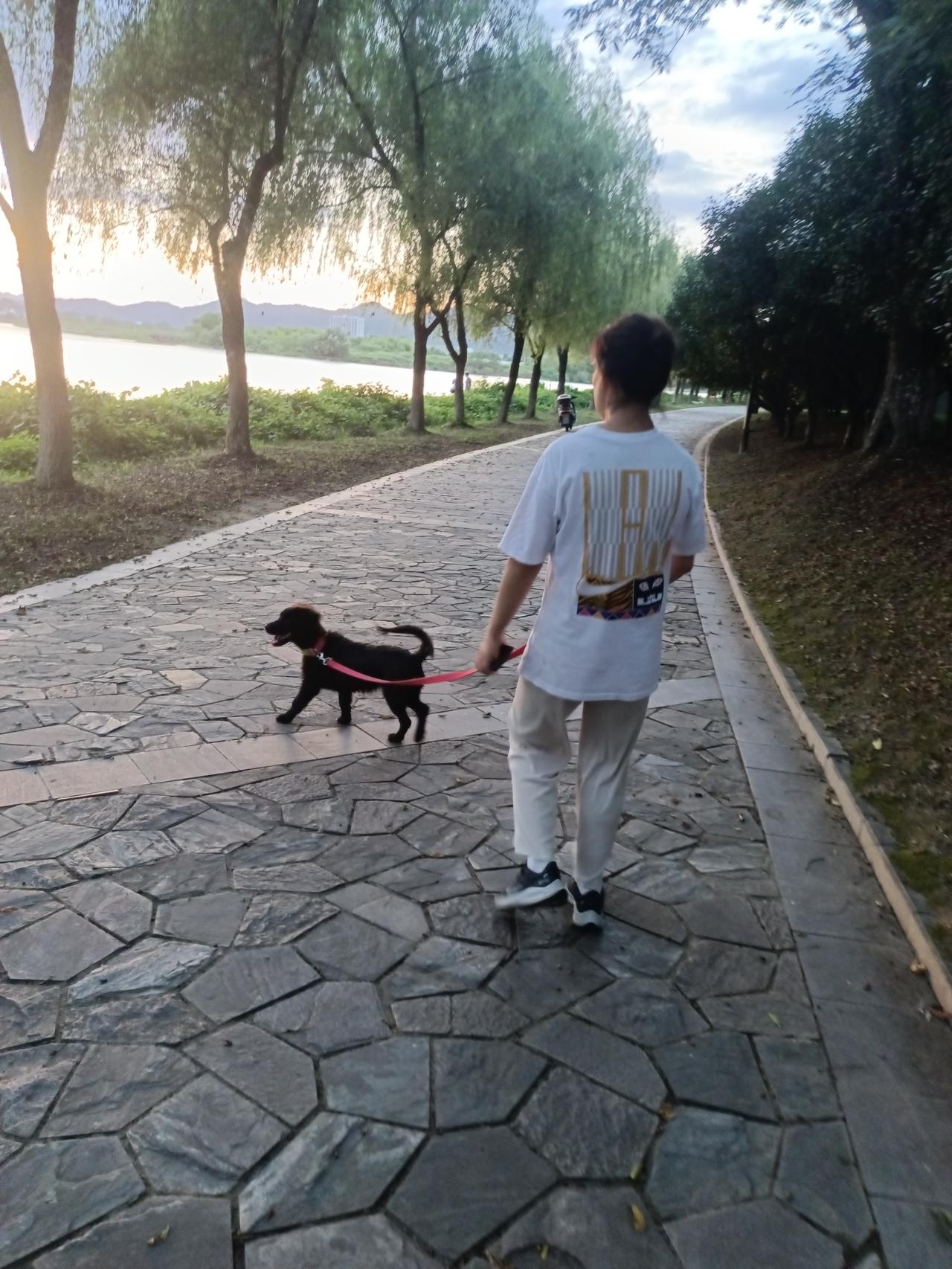 还记得小时候吗？出门全靠两条腿，兜里比脸还干净，一分钱都掏不出来。
可那时候的天