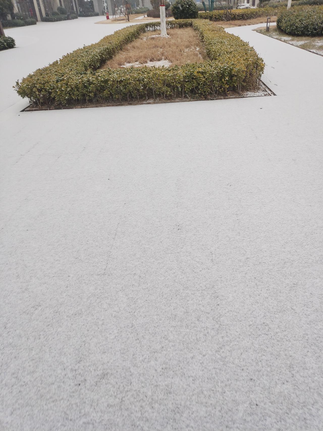 我读过一本叫《两个小女孩》的书，有两个主人翁，一个是孤儿，一个是有家，孤儿的悟性