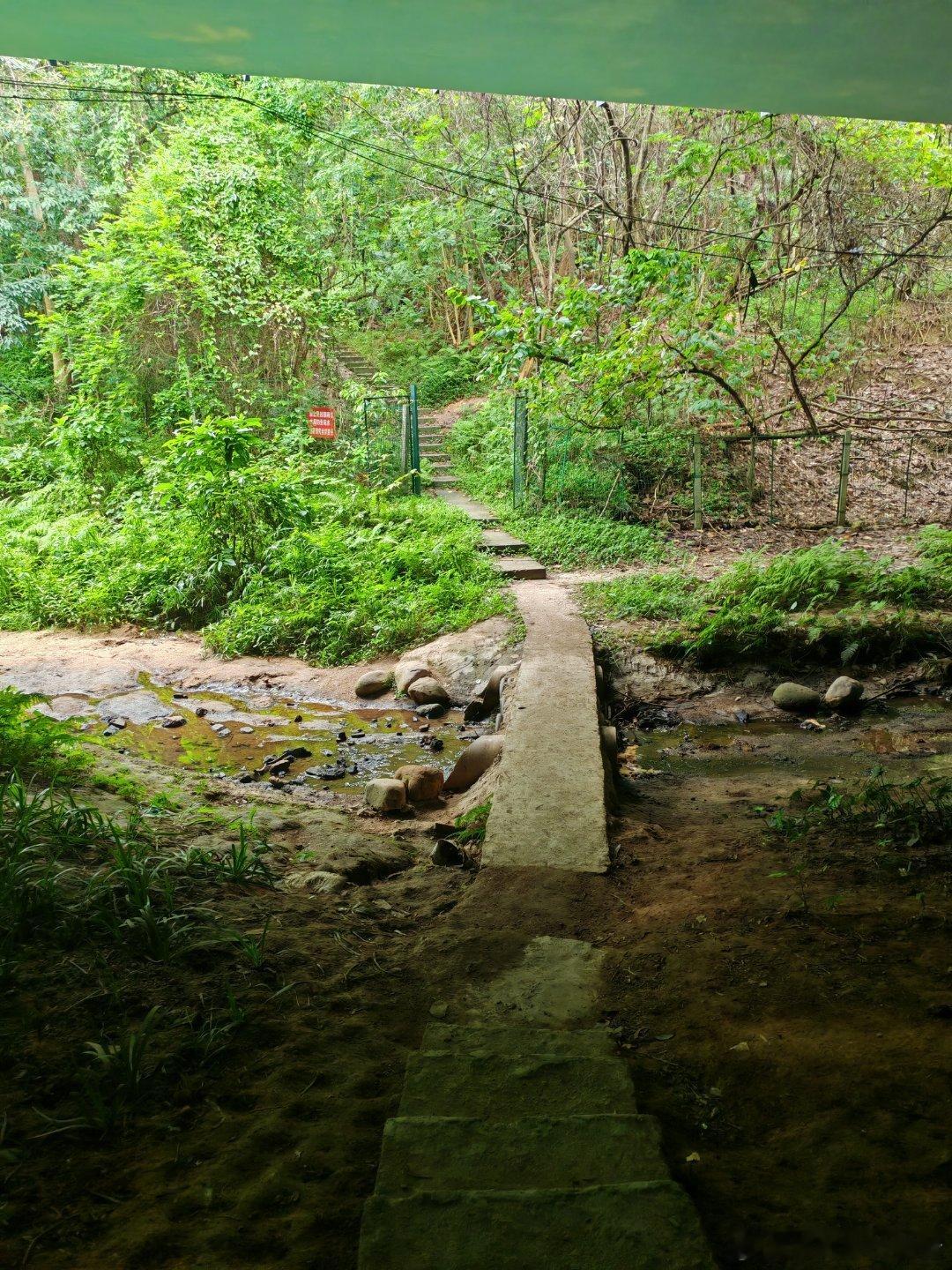 玉龙立交下面这个路口，是塘朗山的登山口，可直接到福田。 深圳·塘朗山郊野公园