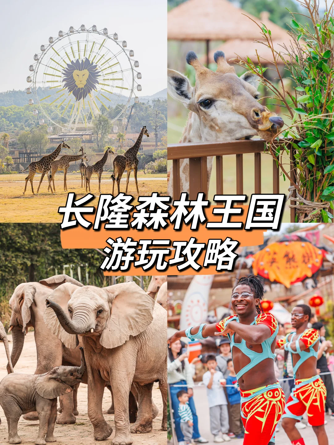 暑假亲子游，清远长隆一站式遛娃度假🏖攻略