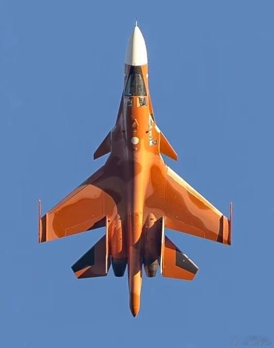 阿尔及利亚🇩🇿 