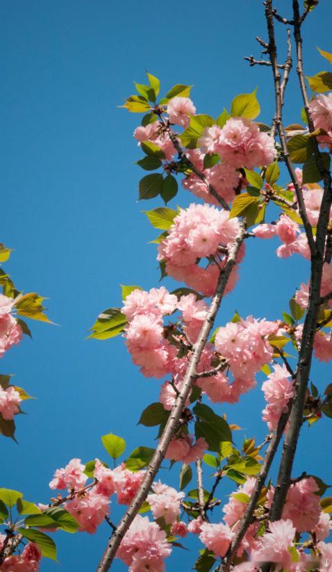 每日一善阳光信用 🌼我们都会得偿所愿，生活更顺利一些，幸福也更丰盈。相信心中所