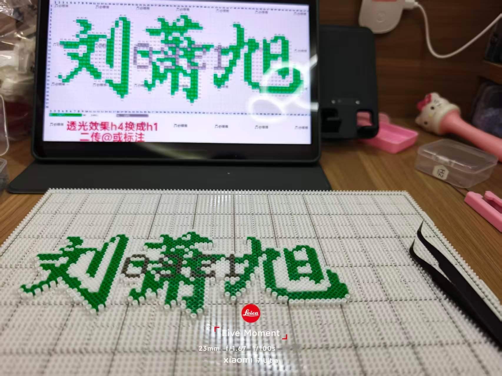 这是谁家小闺蜜给拼的呀
