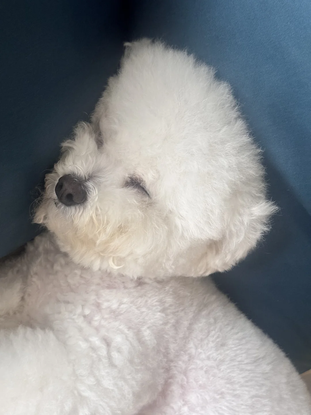 在一个炎热的午后