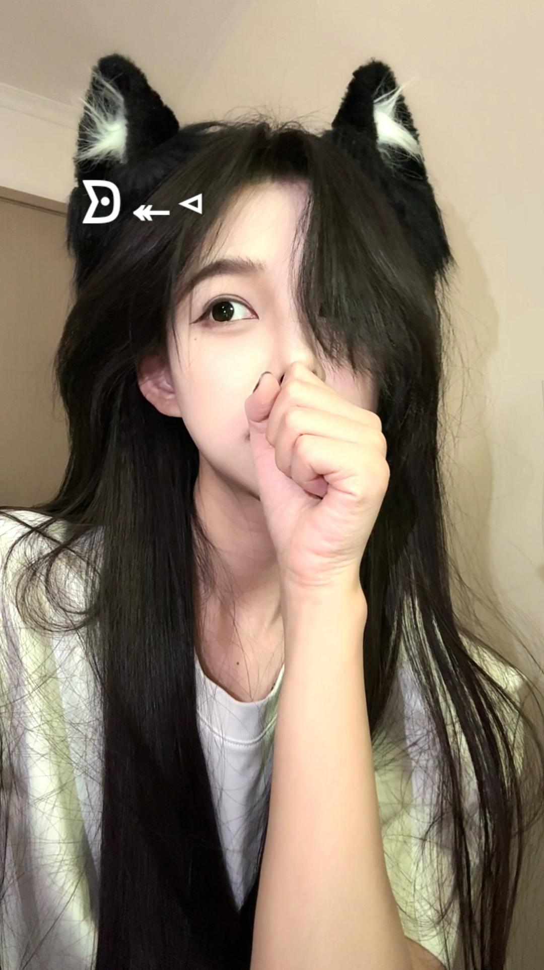 os:什么时候可以下小鱼干啊