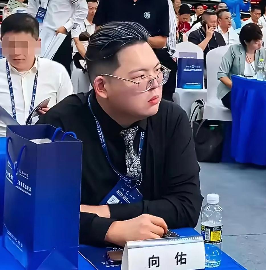 向佑年届四十，却仍未看清自己。面对家产交由大嫂郭碧婷打理的决定，他只会抱怨父母不