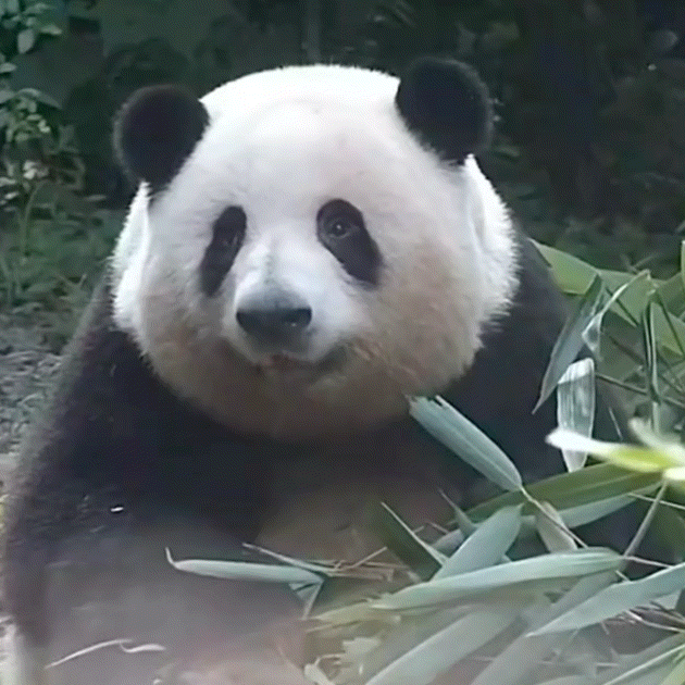 懂得宽恕，懂得原谅，开心的是自己，懂得淡泊名利，懂得享受生活，放松的是自己，懂得