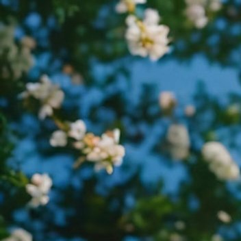 每日一善   每日一善   阳光信用 世事忙忙如水流，休将名利挂心头。粗茶淡饭随