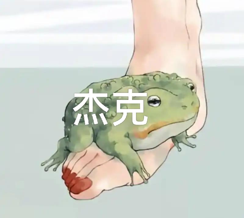 6月2日捷克参议院议长维斯特奇尔蹿访台湾为了什么？
A，为了个人捞钱，定有私下金