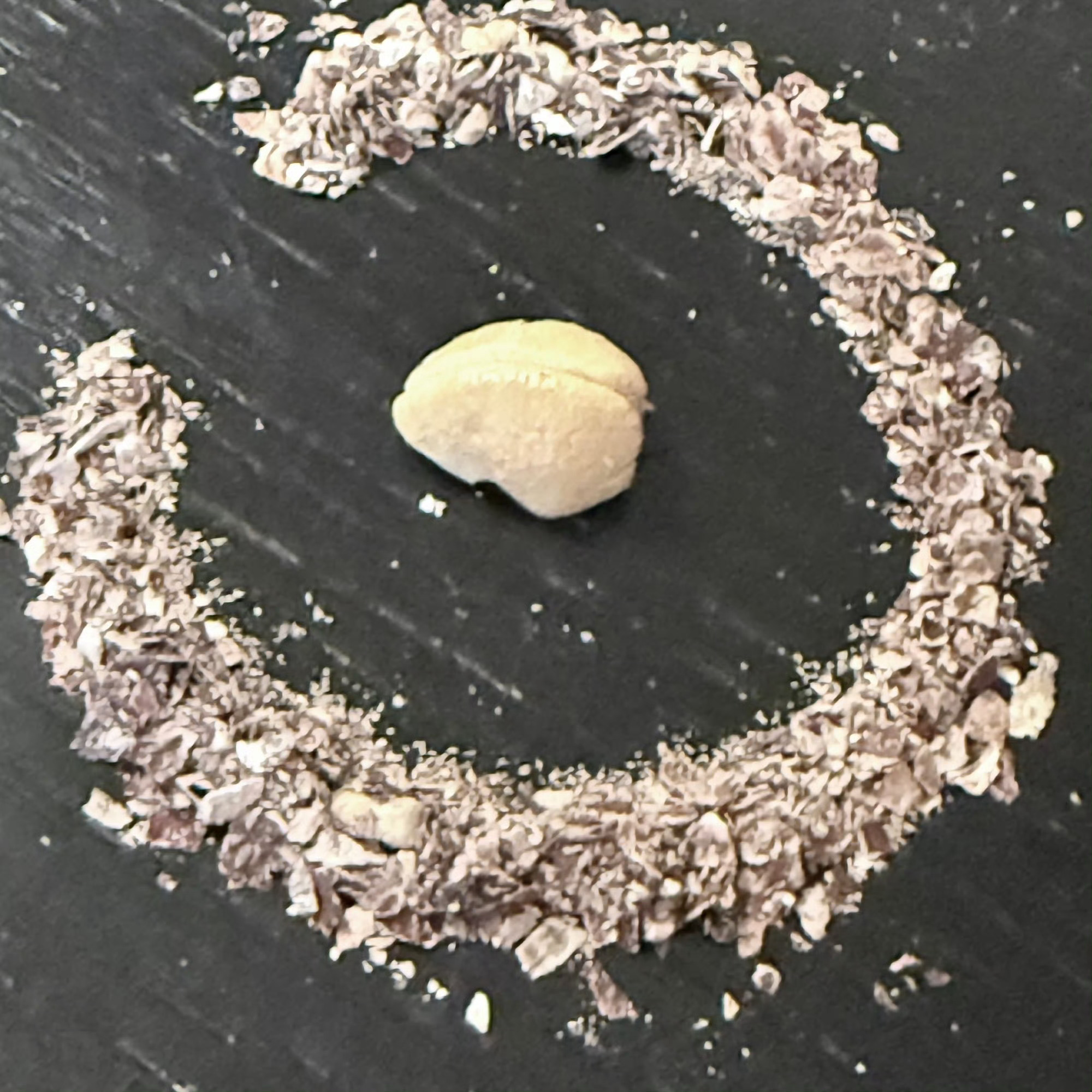 每日一善  💫阳光信用💫每日一善我们都有爱心爱护大自然人人有责爱护小动物从你