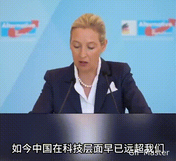 【魏德尔称德国政府预算有太多可压缩的财政空间】
德国选择党主席魏德尔近日阐述了该