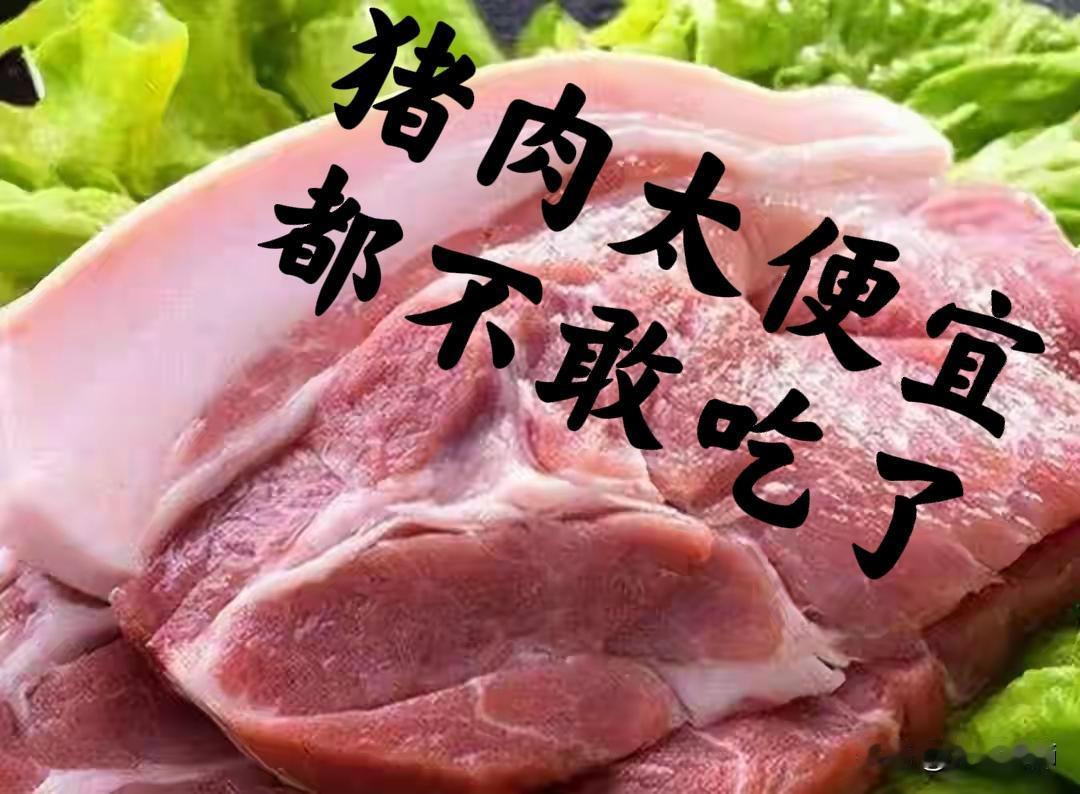 矛盾的猪肉
几年前，猪肉价格涨到天上去的时候，10块钱买一丁点，炒菜就是感觉香。