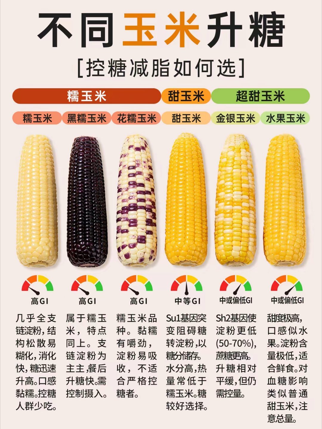 玉米 
