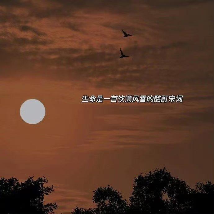 和舒服的人深交和善良的人往来晚安💤 