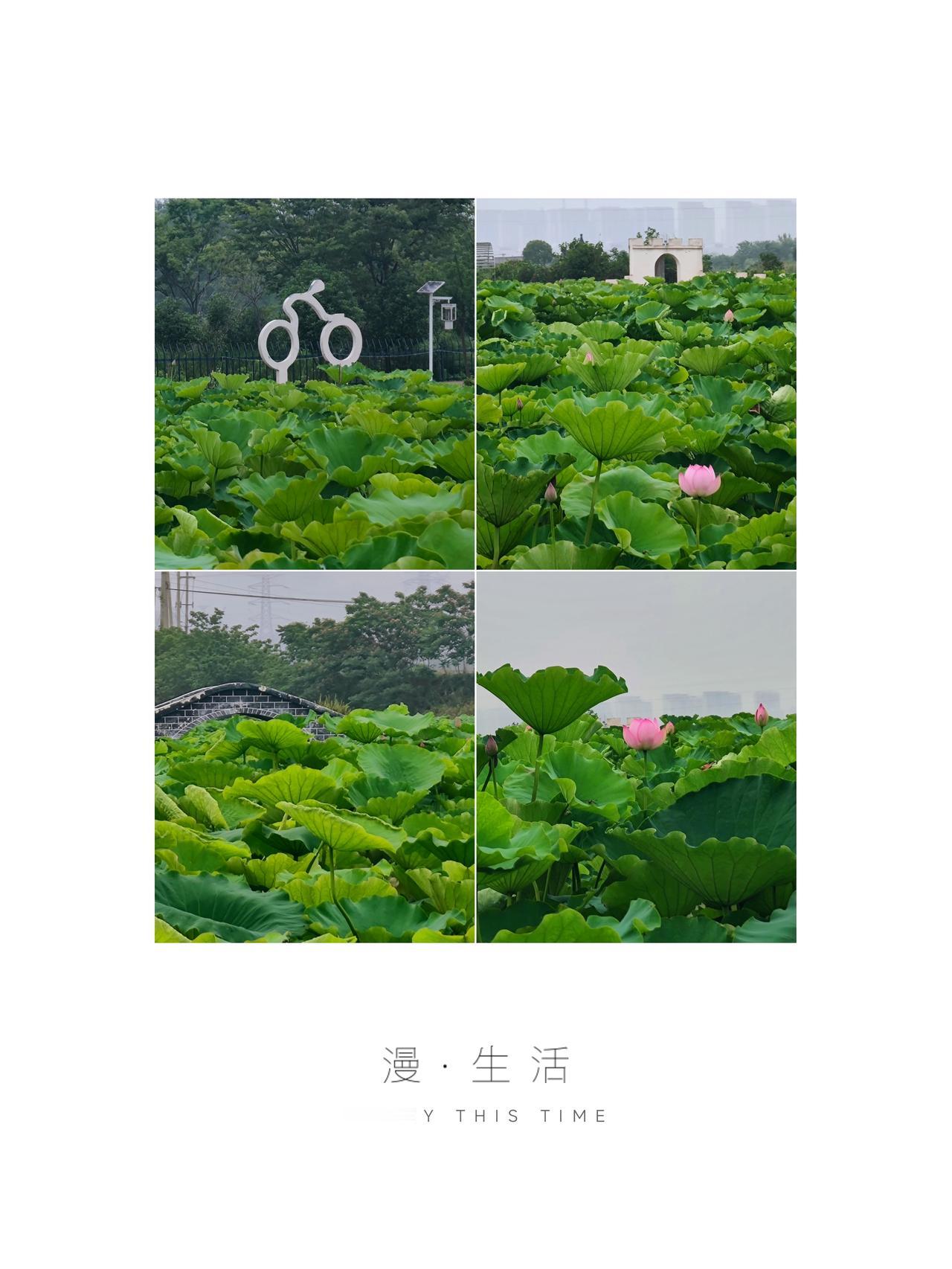 内容启发搜索