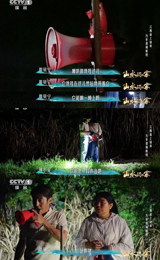 撒贝宁沙溢半夜出门赶野猪 看完这段才知道，原来荷桥村的村民每年都要这么守着稻田，