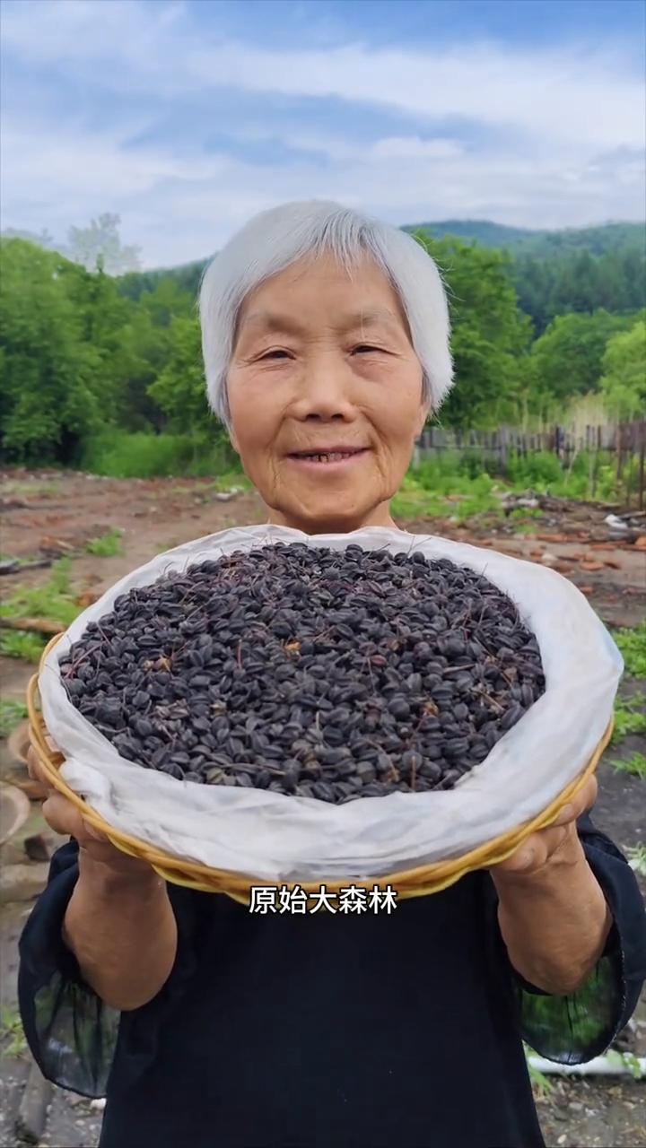 黑龙江原始大森林纯野生的刺五加籽。
我家是小兴安岭的主脉原始大森林，这是邻居家采