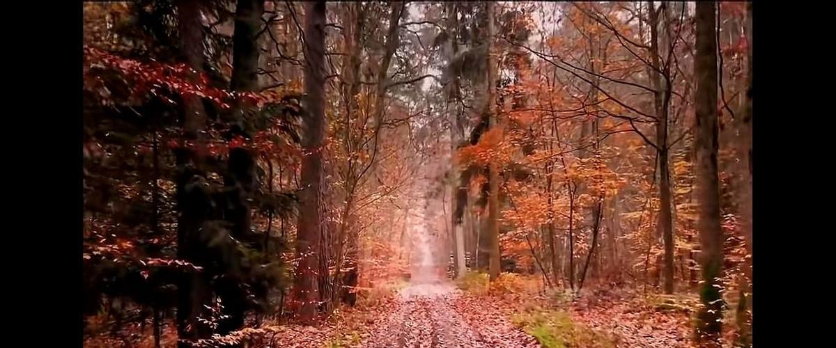 上海海港嘴上喊着青训，脚下却离不开奥斯卡。
泰山队外援没他多，年轻人倒是真上场了