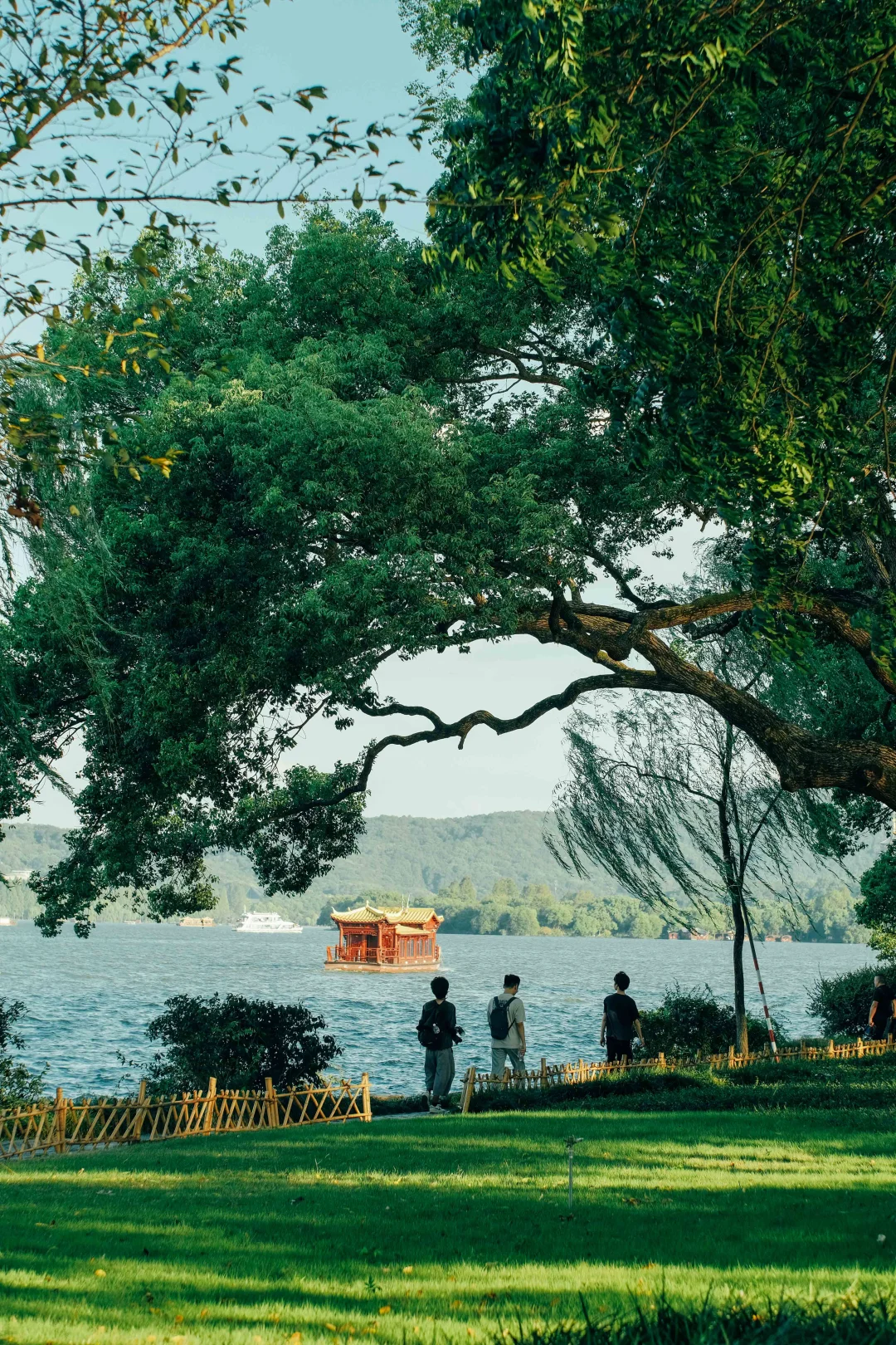 春天就要逛公园🌲西湖的绿色可太迷人了