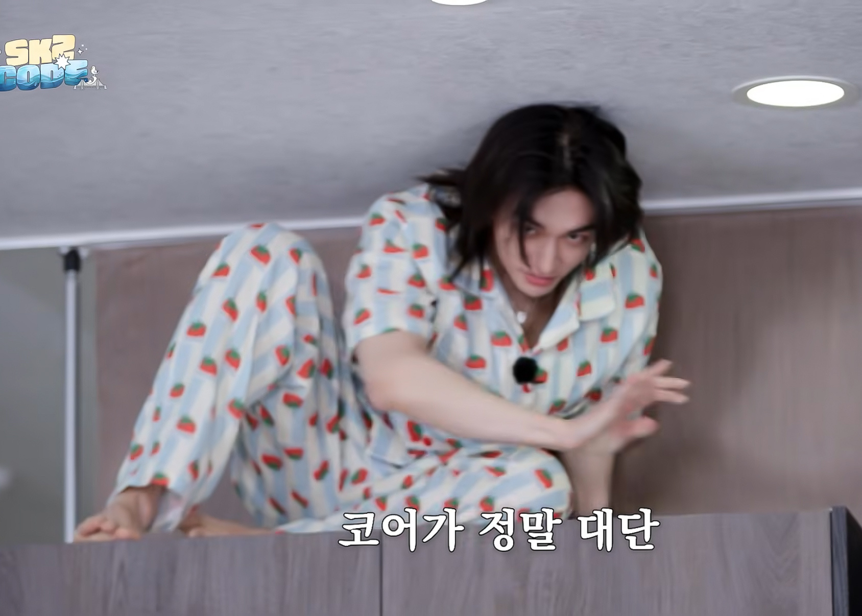 可爱疯了……好轻好小好柔软的漂亮貂貂 