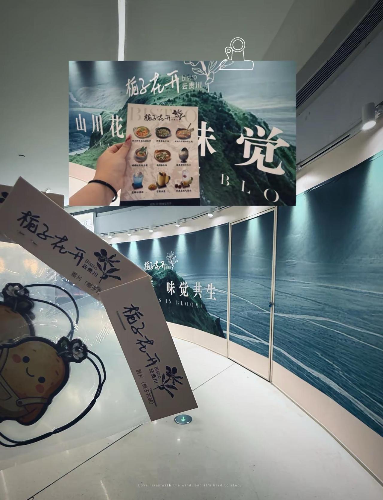 5月浪漫天花板！天河这家店赢了。5月的浪漫天花板被天河领展的栀子花开承包了！！店