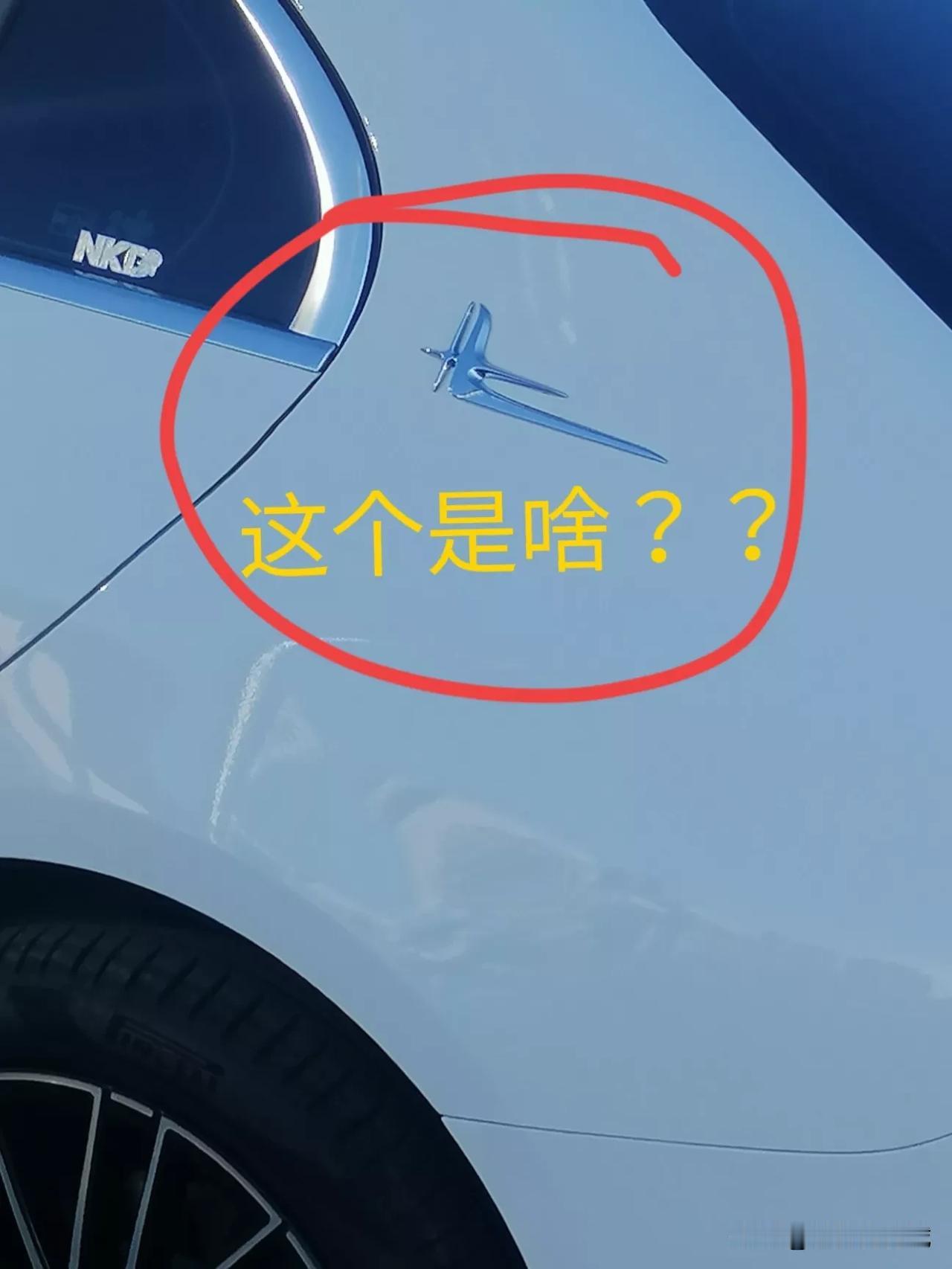 经常看到奔驰车上有这个东西，这是什么意思？？