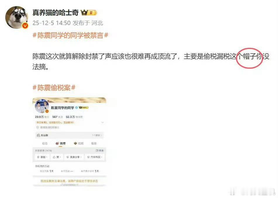 陈震逃税是违反法律法规，央视都发视频定性了，结果这个人理解为是央视和国家给他扣帽