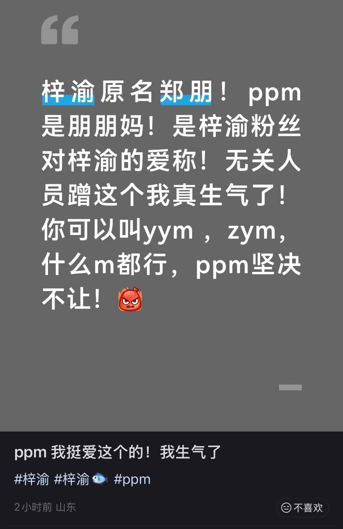 众所周知：ppm是梓渝粉丝的名 