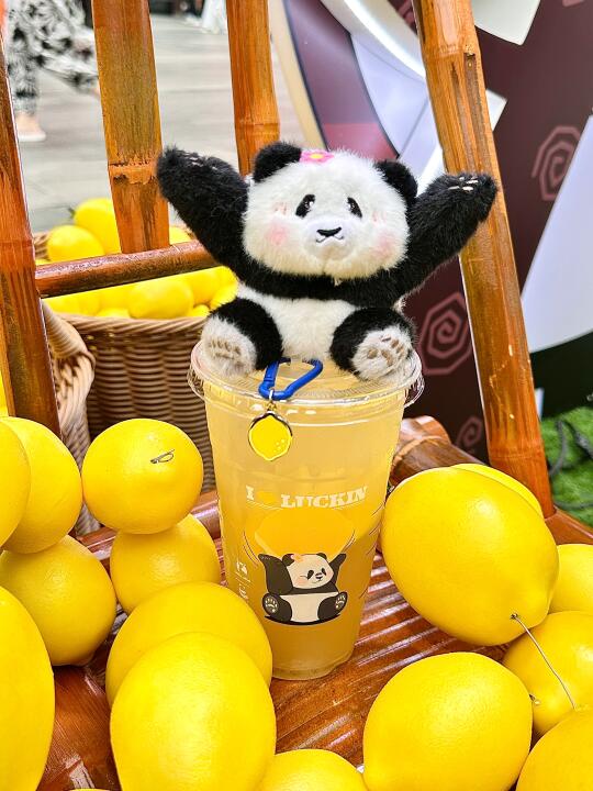成都的！！！最新的！！！熊猫🐼挂件好可爱！！！