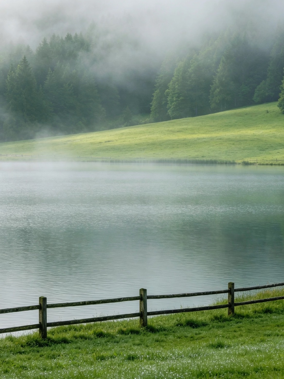 薄雾漫过湖面，山林与草地浸在一片温柔的清寂里🌿 ​​​