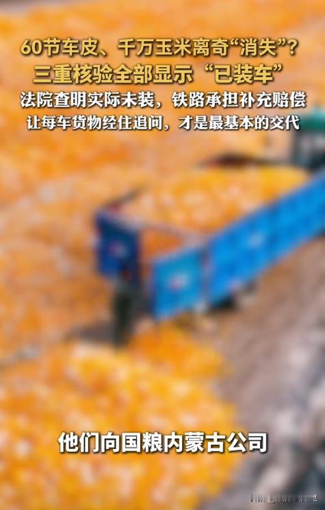 陕西渭南，55岁女子向国粮内蒙古公司购买了3744吨玉米，总价值1138万余元。