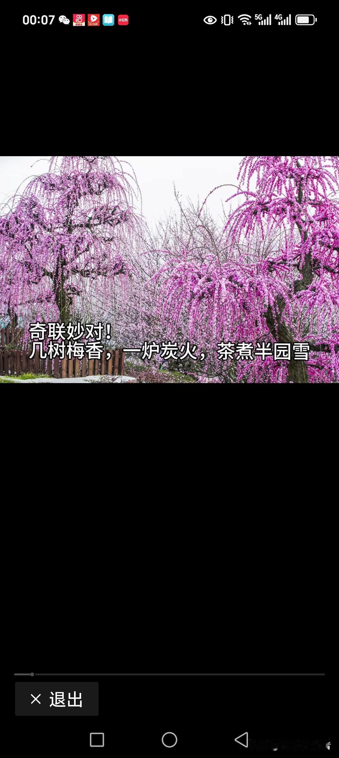 几棵梅香，一炉炭火，茶煮半园雪
满眼红韵，半盏温酒，围坐话团圆