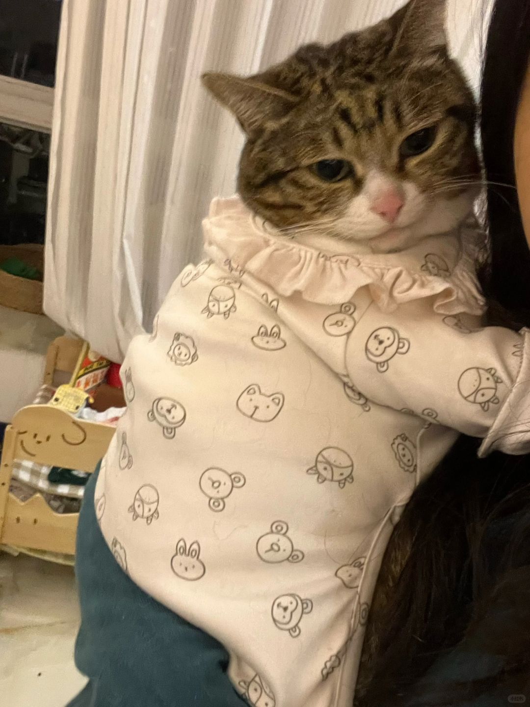 这猫没救了，得抱了它是在偷笑吗😏