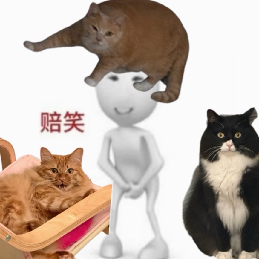 📢重要通知：视频素材过多，剪辑进度滞后，日常内容改至明天更新。 