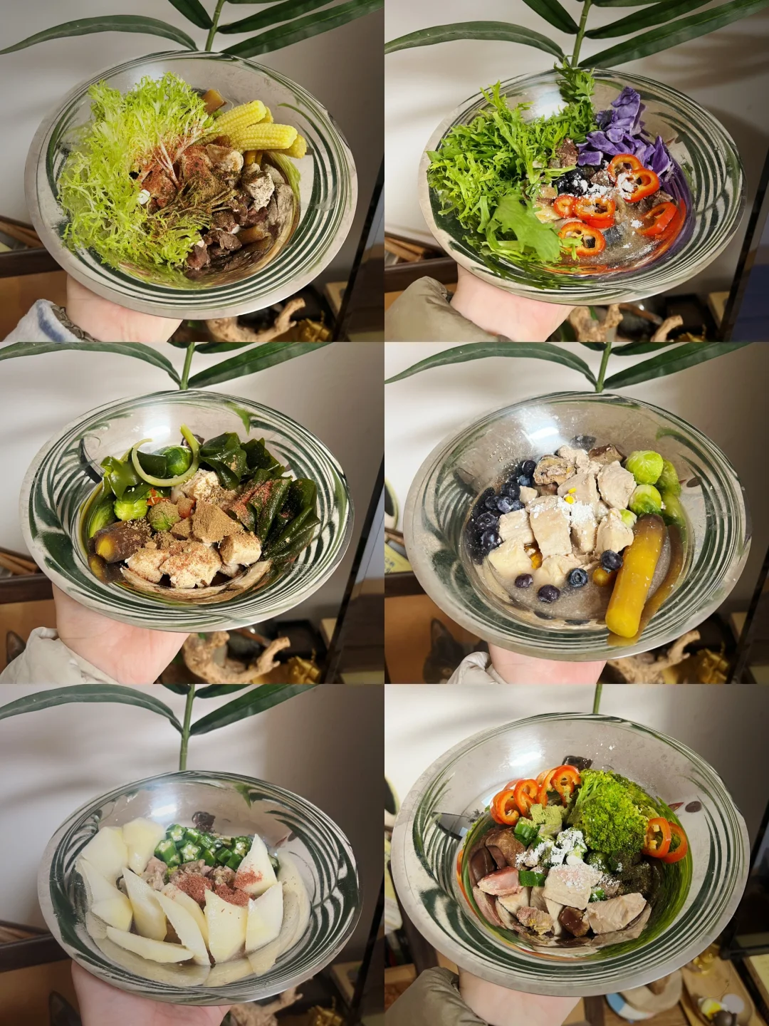 好好吃饭和遛狗碎片