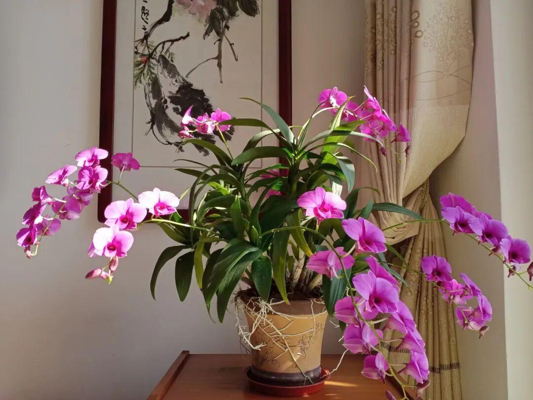 如何看待现在流行的老年大学我感觉到现在的老年大学纯粹是割韭菜。不过也有很多正式的