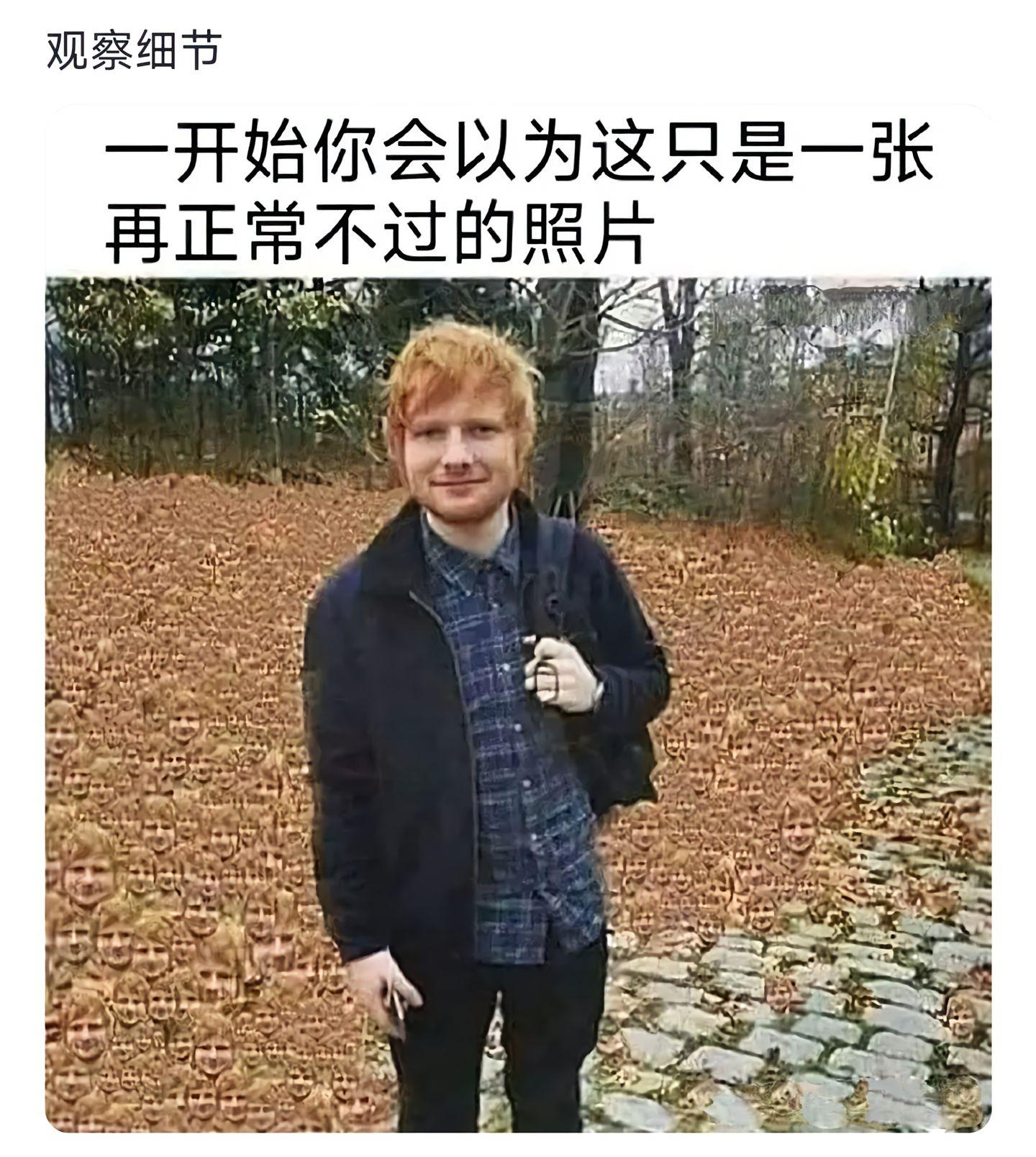 一开始你会以为这只是一张再正常不过的照片