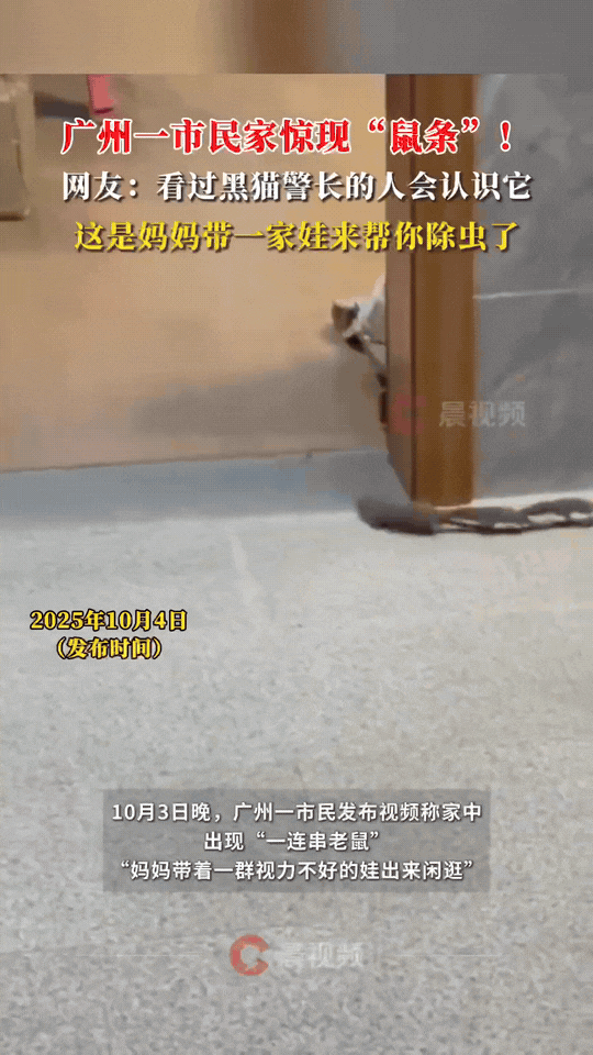 “解释不清了！”广州一女子在家休息时，突然听到桌子下有动静，她小心翼翼走过去，竟