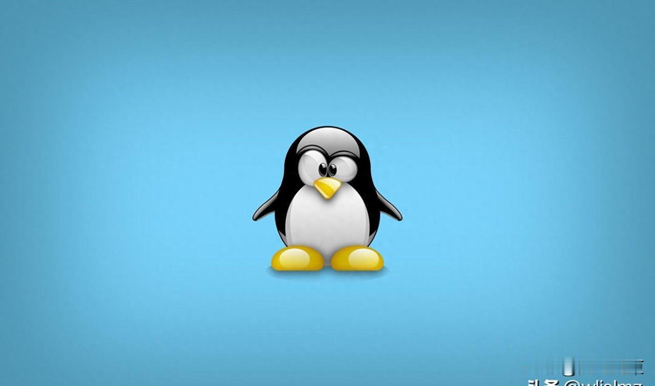Linux命令那么多，其实只需要记住这些就足够了！
Linux新手总被命令吓住，
