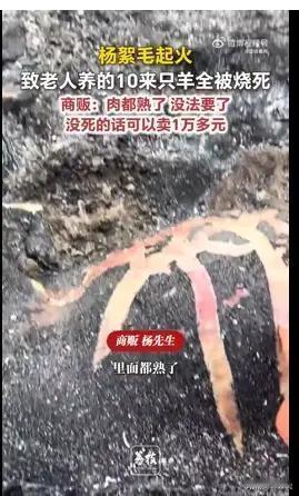 都是杨絮惹的祸？看似天灾，实则全是人祸
 
每年暮春漫天飞絮，人们只当春日浪漫风