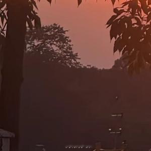 晚安心语 让温柔的夜色为你合上今天的书页。愿星光轻抚你的疲惫，晚风带走所有烦忧，