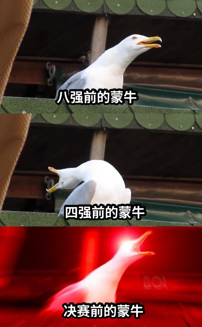 世界杯决赛又被蒙牛包场了 世界杯决赛再次完美印证蒙牛顶级商业眼光，难不怪蒙牛能做